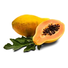 Papaya Formosa Papaya Formosa