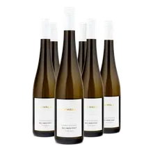 2025 Grüner Veltliner Ried Obere Point Federspiel 2025 Grüner Veltliner Ried Obere Point Federspiel