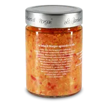 La Salsa di Morgan Agrodolce in Olio - Salsa aus Gartengemüse süßsauer La Salsa di Morgan Agrodolce in Olio - Salsa aus Gartengemüse süßsauer