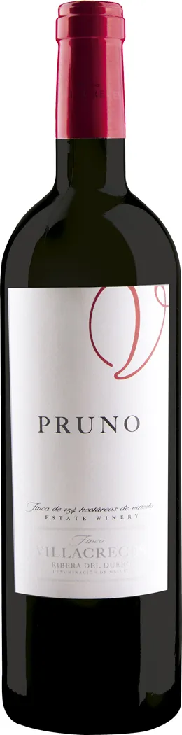 Finca Villacreces „Pruno“ Finca Villacreces „Pruno“