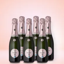 Berlucchi Franciacorta Rosé 0,375l 6er Vorratspaket Berlucchi Franciacorta Rosé 0,375l 6er Vorratspaket