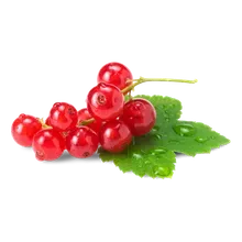 Johannisbeeren rot Johannisbeeren rot