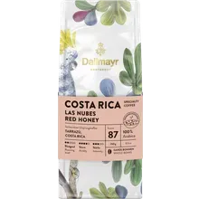 Röstkunst Costa Rica Las Nubes Red Honey 250g ganze Bohne Röstkunst Costa Rica Las Nubes Red Honey 250g ganze Bohne