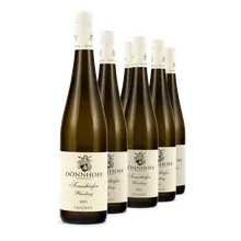 2021 Tonschiefer Riesling trocken 2021 Tonschiefer Riesling trocken
