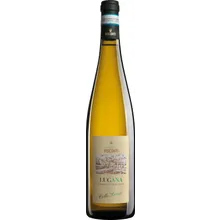 Visconti Lugana Collo Lungo DOC 2024 Visconti Lugana Collo Lungo DOC 2024