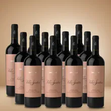 Leone de Castris Villa Santera Primitvo 12er Vorratspaket Leone de Castris Villa Santera Primitvo 12er Vorratspaket