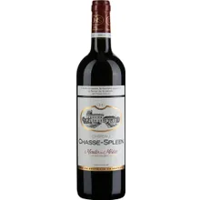 Château Chasse-Spleen 2020 Château Chasse-Spleen 2020