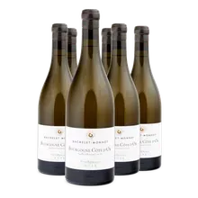 2023 Bourgogne Côte d' Or AC Blanc 2023 Bourgogne Côte d' Or AC Blanc