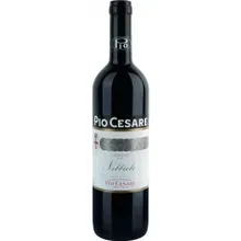Pio Cesare Nebbiolo Langhe DOC Pio Cesare Nebbiolo Langhe DOC