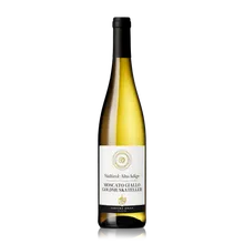 Cantina Gries Moscato Giallo Goldmuskateller DOC 2025 Cantina Gries Moscato Giallo Goldmuskateller DOC 2025