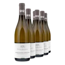2023 Bourgogne Cote-D'Or Blanc AC 2023 Bourgogne Cote-D'Or Blanc AC