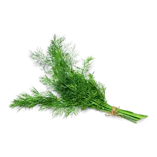 Dill Dill