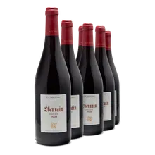 2021 Lindelbacher Ebenrain Pinot Noir 2021 Lindelbacher Ebenrain Pinot Noir