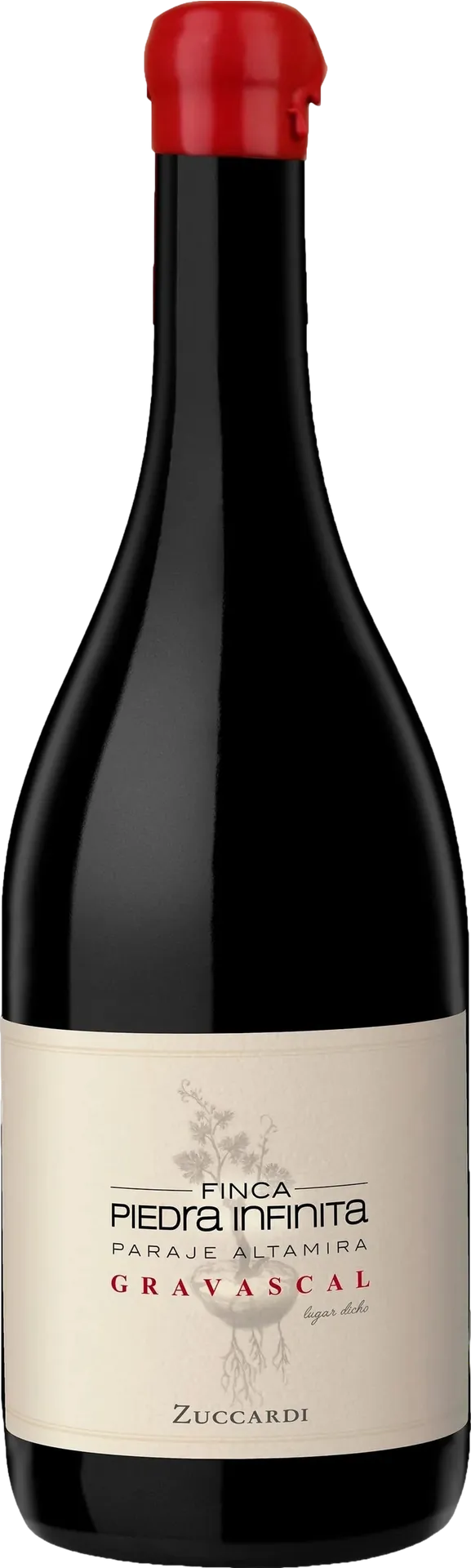 Zuccardi Finca Piedra Infinita Gravascal 2020 Zuccardi Finca Piedra Infinita Gravascal 2020