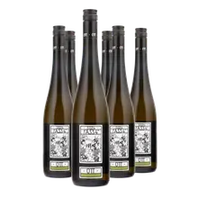 2024 Grüner Veltliner Fass 4 2024 Grüner Veltliner Fass 4