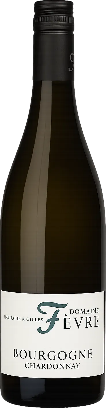 Domaine Nathalie & Gilles Fevre Bourgogne Chardonnay 2023 Domaine Nathalie & Gilles Fevre Bourgogne Chardonnay 2023