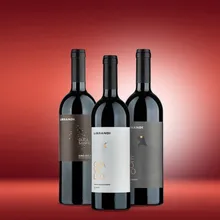 Librandi "Rotes Kalabrien:" 3 kalabrische Rotweine im Paket Librandi "Rotes Kalabrien:" 3 kalabrische Rotweine im Paket