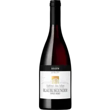 Kellerei Bozen Blauburgunder Pinot Nero DOC 2025 Kellerei Bozen Blauburgunder Pinot Nero DOC 2025