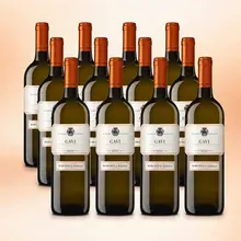 Marchesi di Barolo Gavi 12er Vorratspaket Marchesi di Barolo Gavi 12er Vorratspaket