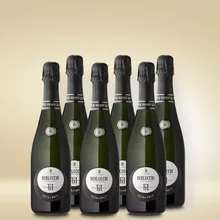 Berlucchi Franciacorta Extra Brut 0,375l 6er Vorratspaket Berlucchi Franciacorta Extra Brut 0,375l 6er Vorratspaket