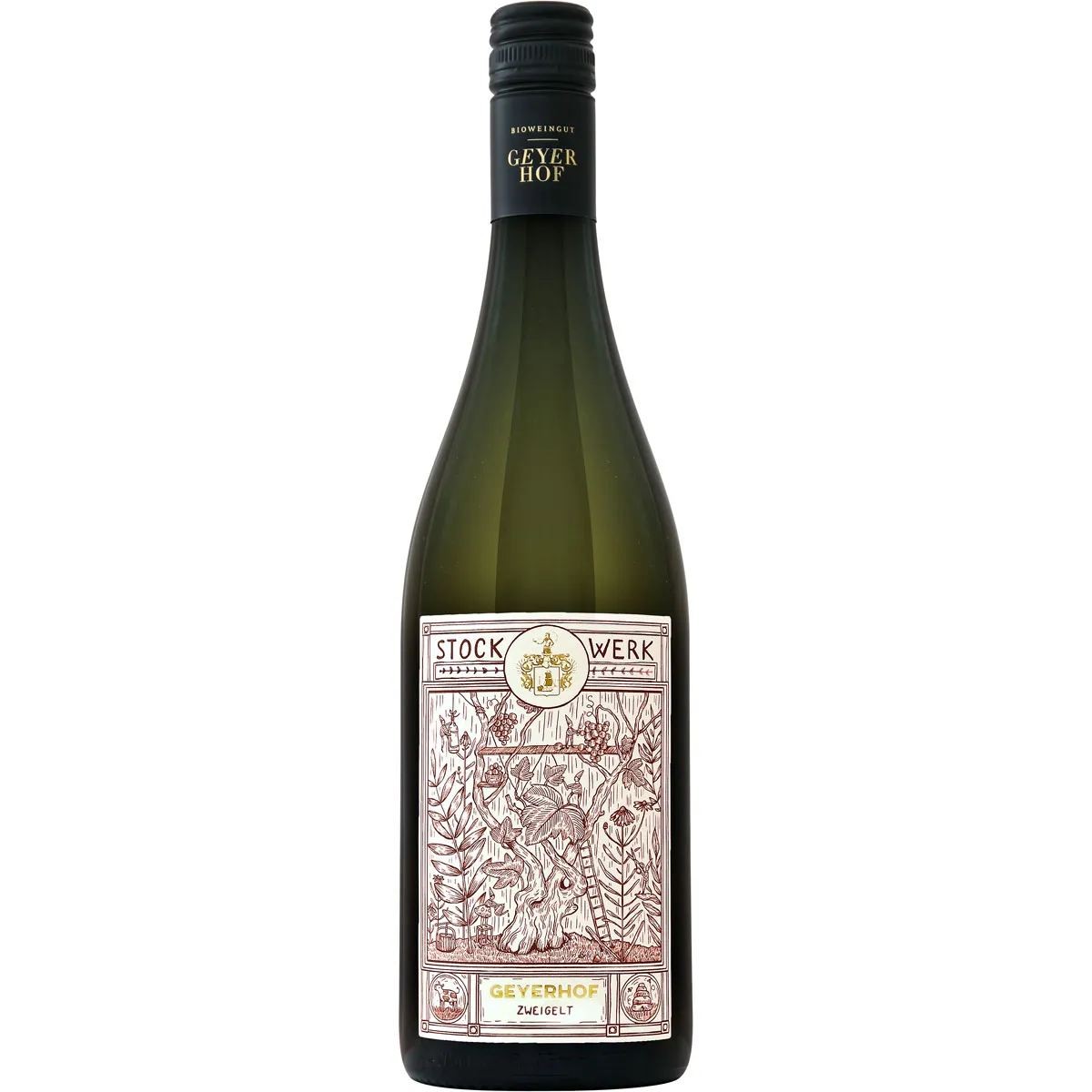 Geyerhof Stockwerk Zweigelt Geyerhof Stockwerk Zweigelt
