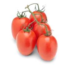 Cocktailtomaten Eier-Strauch Cocktailtomaten Eier-Strauch