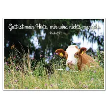 Schild mit Bibelvers "Gott ist mein Hirte" - viele Größen erhältlich Schild mit Bibelvers "Gott ist mein Hirte" - viele Größen erhältlich
