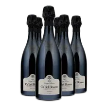 2021 Ca' del Bosco Franciacorta Satèn Vintage Collection Brut 2021 Ca' del Bosco Franciacorta Satèn Vintage Collection Brut