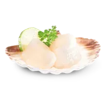 Scallops Scallops