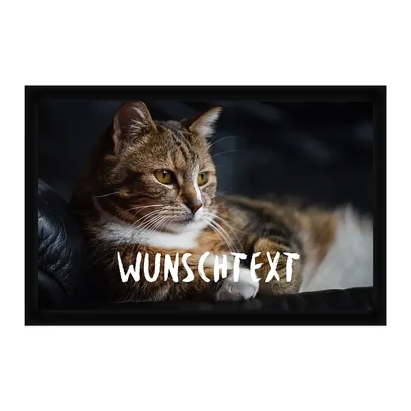 Personalisierte Fußmatte mit Katzenfoto und Wunschtext 60 x 40 cm Personalisierte Fußmatte mit Katzenfoto und Wunschtext 60 x 40 cm