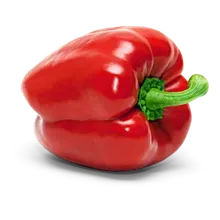 Paprika rot Paprika rot