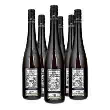 2021 Grüner Veltliner Ried Spiegel Feuersbrunn 2021 Grüner Veltliner Ried Spiegel Feuersbrunn