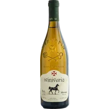 Winiveria Mtsvane 2023 Winiveria Mtsvane 2023