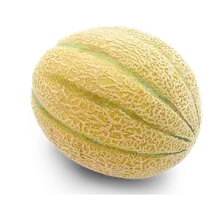 Netzmelone King's Red, Lorenzini Sizilien Netzmelone King's Red, Lorenzini Sizilien