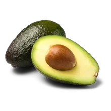 Avocado Avocado