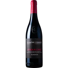 Domini Veneti Amarone della Valpolicella Classico 2021 Domini Veneti Amarone della Valpolicella Classico 2021