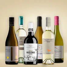Vinolisa Selezione Weißwein-Expedition durch Italien Vinolisa Selezione Weißwein-Expedition durch Italien