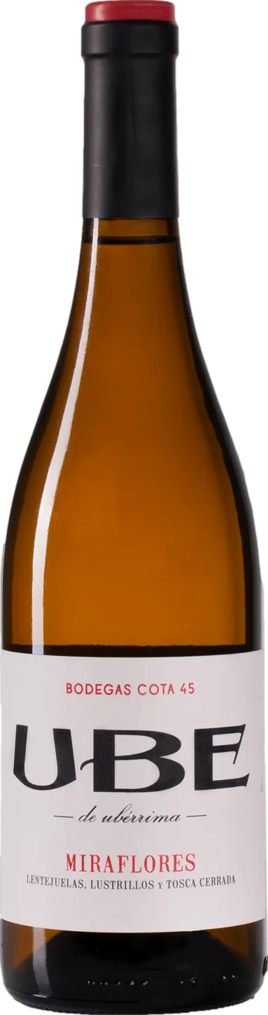 Bodegas Cota 45 UBE Miraflores 2022 Bodegas Cota 45 UBE Miraflores 2022