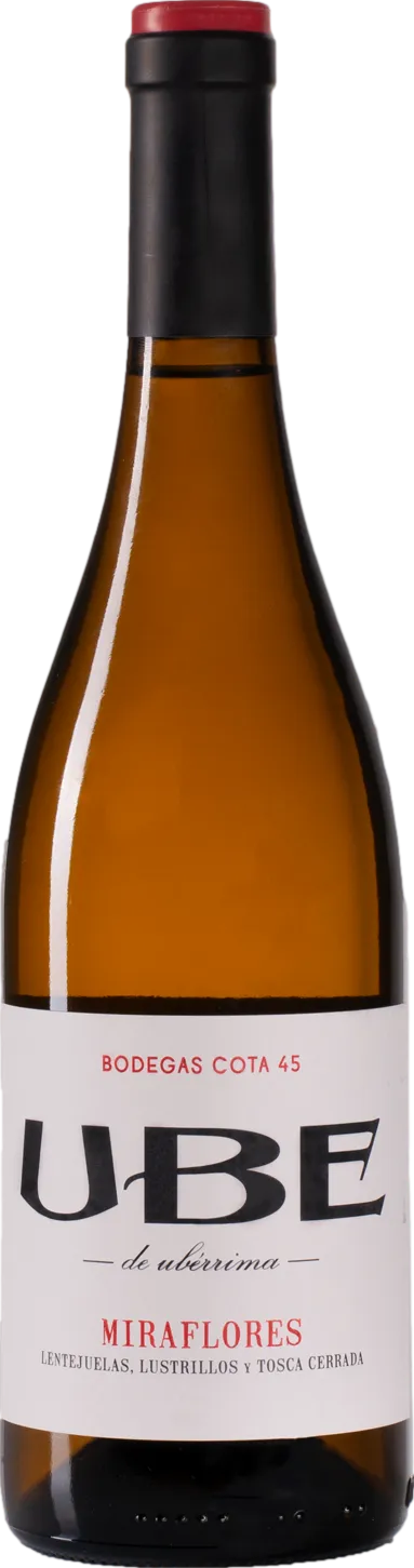 Bodegas Cota 45 UBE Miraflores 2022 Bodegas Cota 45 UBE Miraflores 2022