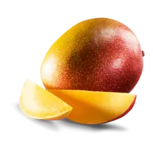 Mango Kent Mango Kent