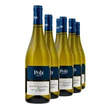 2023 Ried Hochgrassnitzberg Sauvignon Blanc 2023 Ried Hochgrassnitzberg Sauvignon Blanc