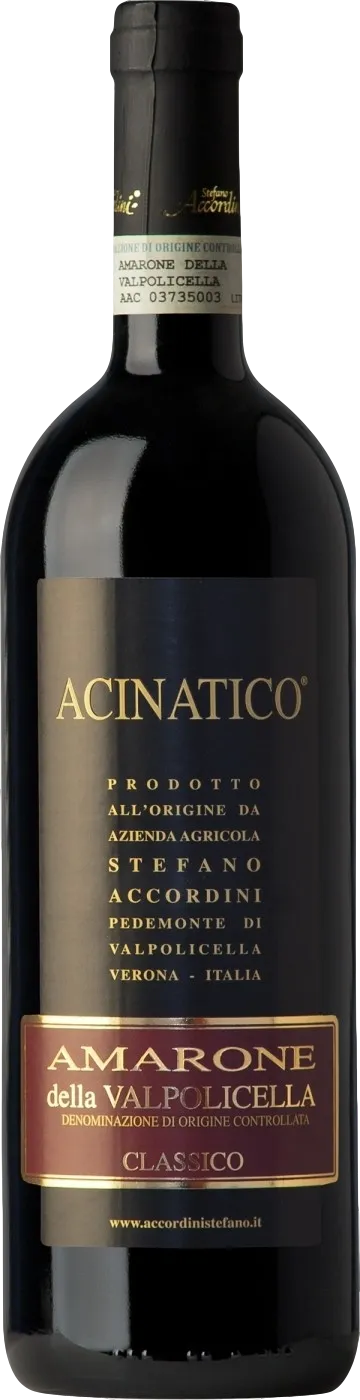 Stefano Accordini Acinatico Amarone della Valpolicella Classico 2020 Stefano Accordini Acinatico Amarone della Valpolicella Classico 2020