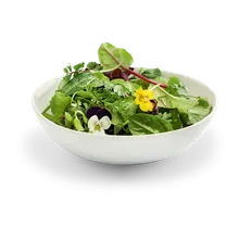 Wildkräutersalat Wildkräutersalat