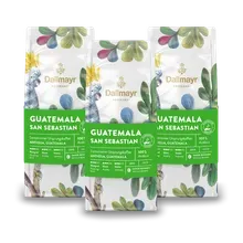 Röstkunst Guatemala San Sebastian 3x 250g g. Bohne Röstkunst Guatemala San Sebastian 3x 250g g. Bohne