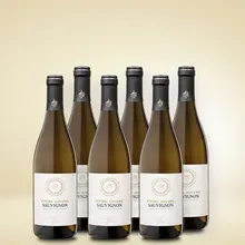 Cantina Gries Sauvignon 6er Vorratspaket Cantina Gries Sauvignon 6er Vorratspaket