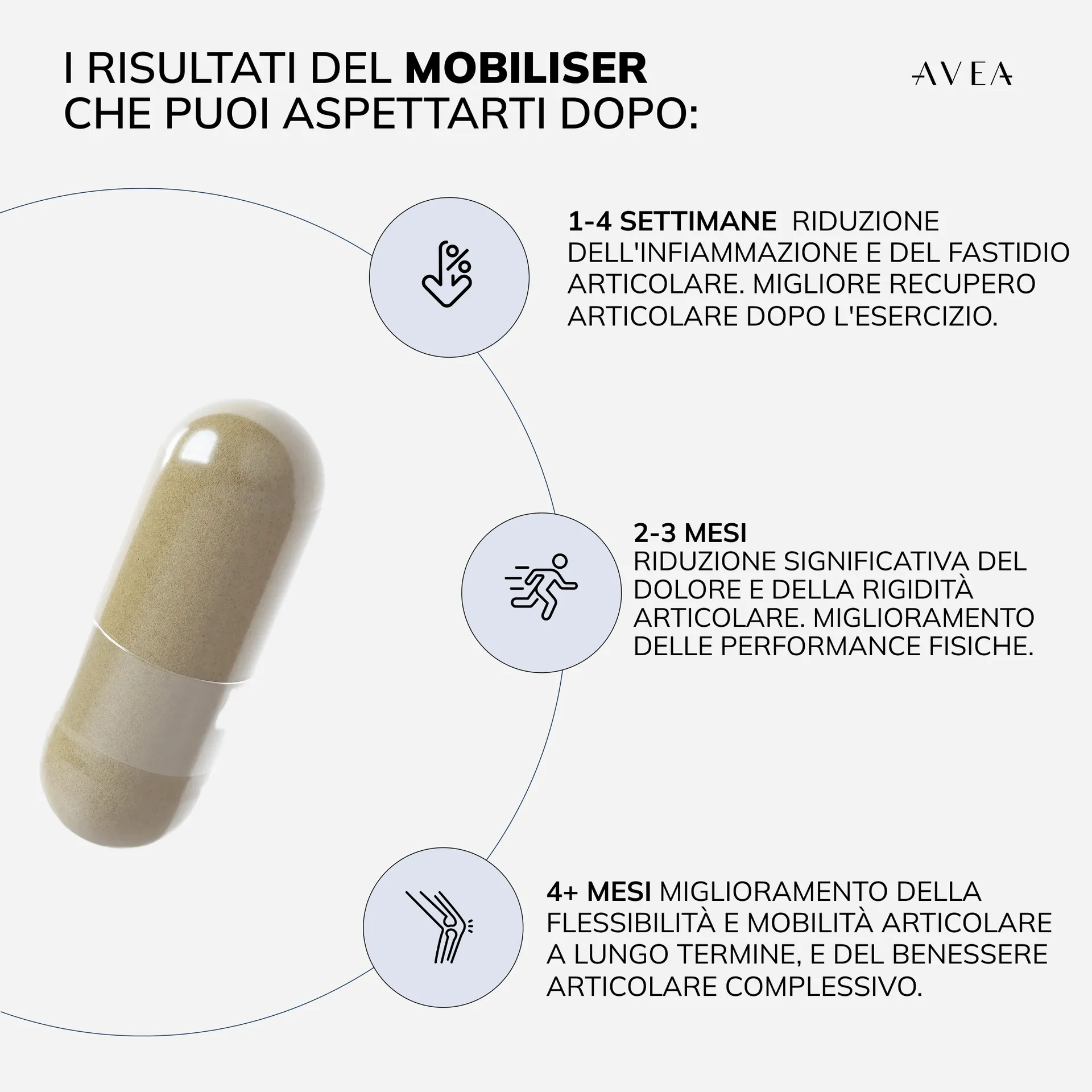 Mobiliser – Bild 10