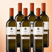 Marchesi di Barolo Gavi 6er Vorratspaket Marchesi di Barolo Gavi 6er Vorratspaket