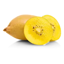 Kiwi Gold Kiwi Gold