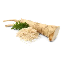 Meerrettich Meerrettich
