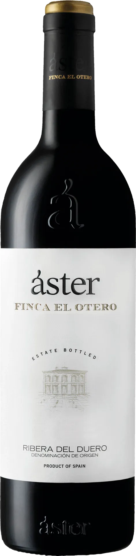 Aster Finca El Otero 2021 Aster Finca El Otero 2021